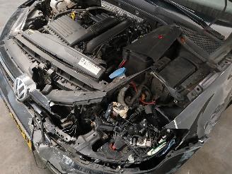 Volkswagen Golf Golf VII (AUA) Hatchback 1.4 TSI 16V (CHPA) [103kW]  (08-2012/03-2020)= picture 31