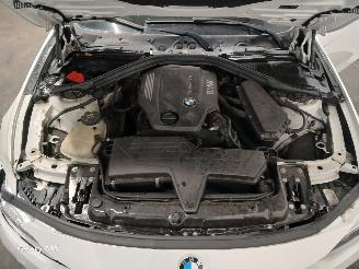 BMW 3-serie 3 serie (F30) Sedan 320d 2.0 16V (B47-D20A) [140kW]  (07-2015/10-2018)= picture 28