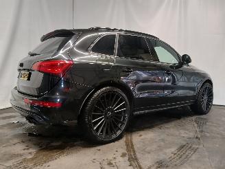 Audi SQ5 SQ5 (8RB) SUV 3.0 TDI V6 24V (CVUC) [230kW]  (12-2012/11-2015) picture 6