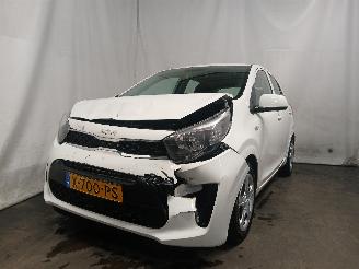 Schadeauto Kia Picanto Picanto (JA) Hatchback 1.0 DPI 12V (G3LD) [46kW]  (05-2024/...) 2024/1