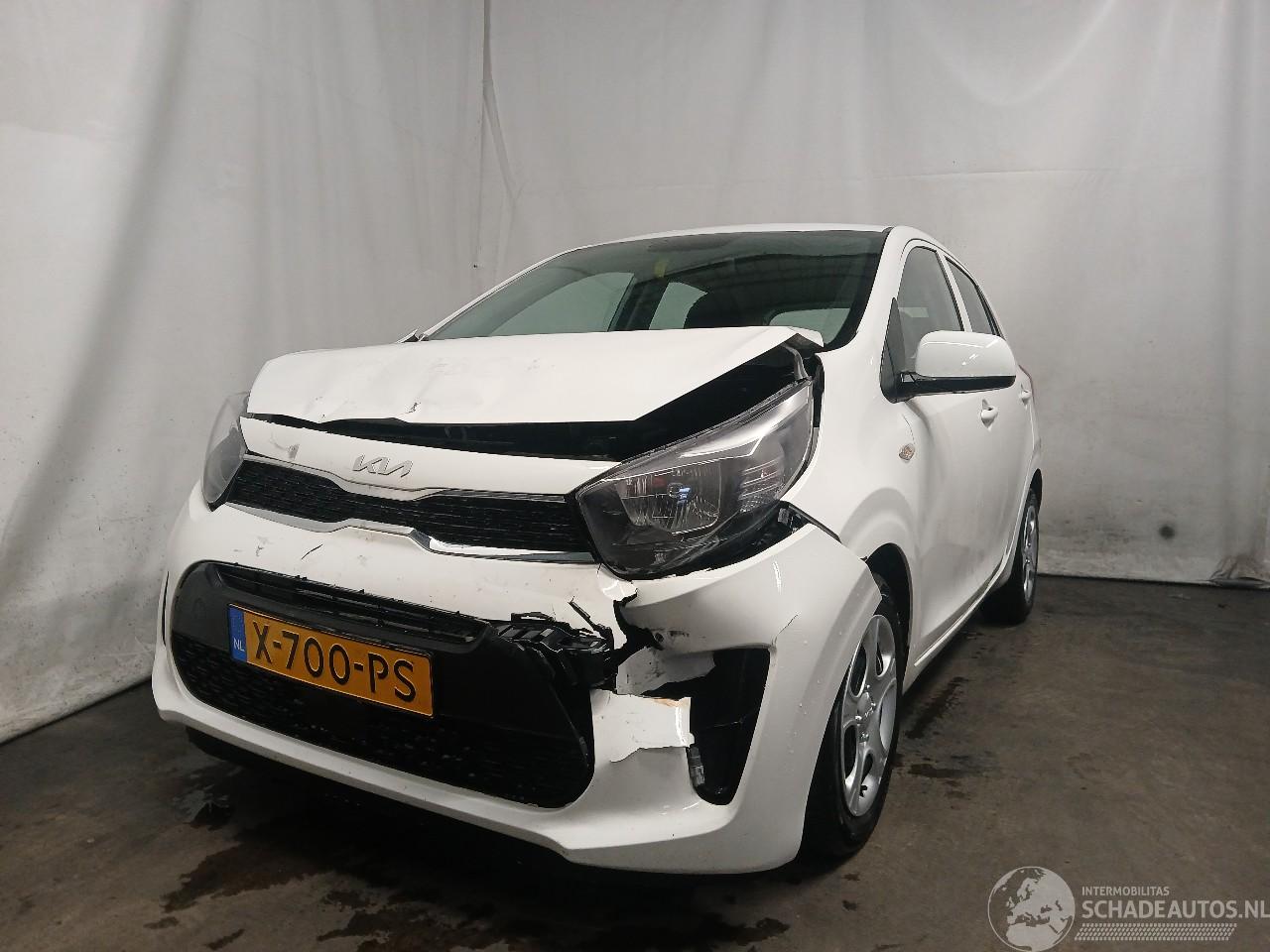 Kia Picanto Picanto (JA) Hatchback 1.0 DPI 12V (G3LD) [46kW]  (05-2024/...)