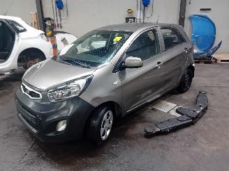 Coche siniestrado Kia Picanto Picanto (TA) Hatchback 1.0 12V (G3LA) [51kW]  (05-2011/06-2017) 2013/9