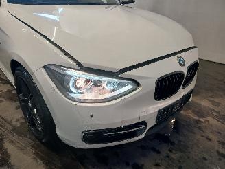 BMW 1-serie 1 serie (F20) Hatchback 5-drs 116i 1.6 16V (N13-B16A) [100kW]  (07-201=
1/02-2015) picture 24