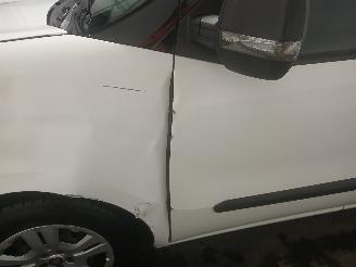 Fiat Doblo Doblo Cargo (263) Van 1.3 D Multijet (263.A.6000) [55kW]  (11-2013/12-=
2023) picture 20