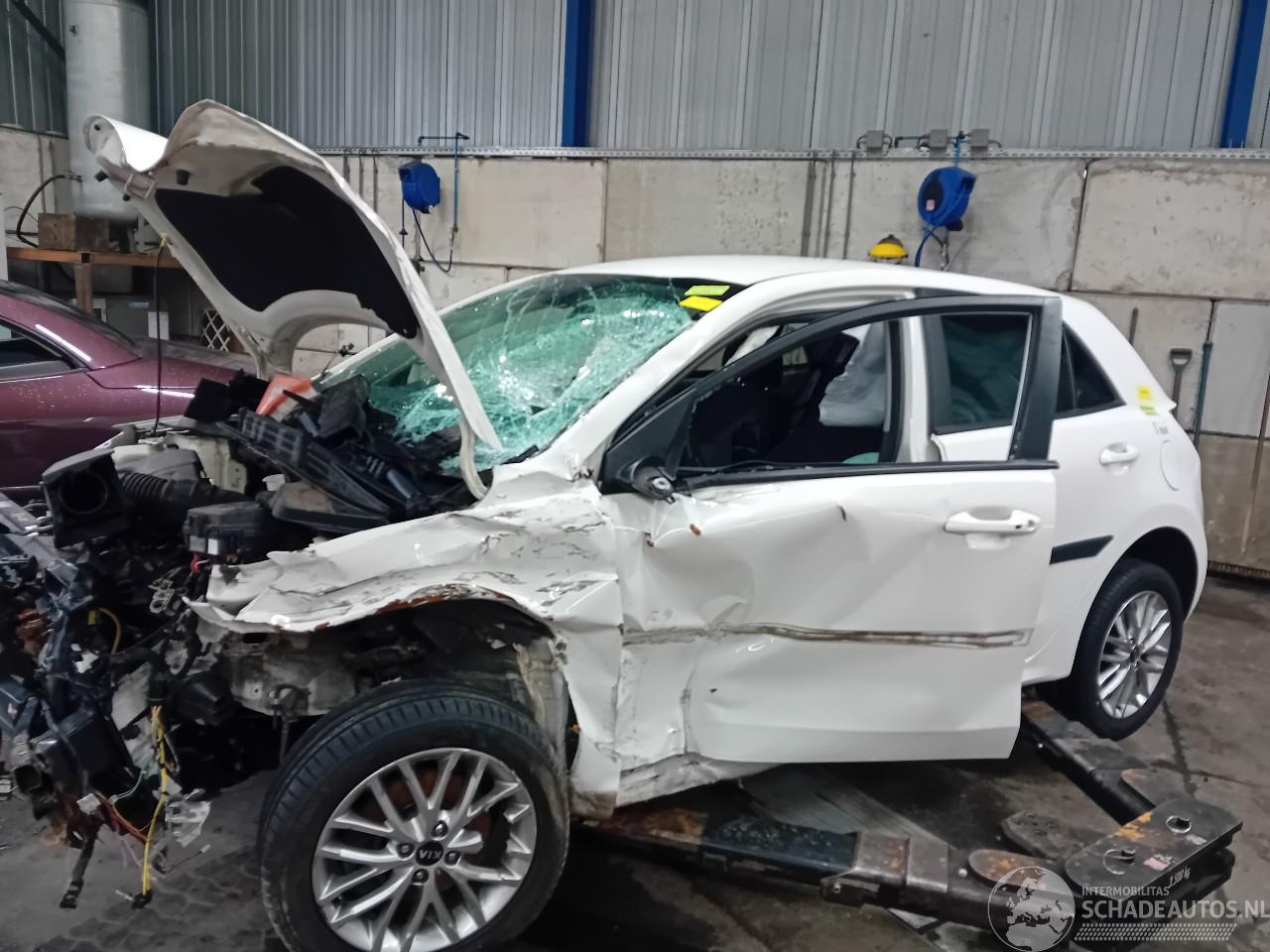 Kia Rio Rio IV (YB) Hatchback 1.0i T-GDi 100 12V (G3LC) [74kW]  (01-2017/09-20=
20)