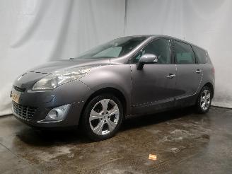 Renault Scenic Grand Scénic III (JZ) MPV 2.0 16V CVT (M4R-F713) [103kW]  (02-2009/1=
2-2016) picture 2