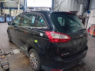 Ford Grand C-Max Grand C-Max (DXA) MPV 1.6 EcoBoost 16V (JQDA(Euro 5)) [110kW]  (12-201=
0/06-2019) picture 4