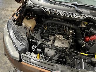 Ford EcoSport EcoSport (JK8) SUV 1.0 EcoBoost 12V 125 (M1JJ) [92kW]  (10-2013/...) picture 25