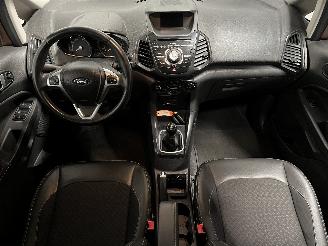 Ford EcoSport EcoSport (JK8) SUV 1.0 EcoBoost 12V 125 (M1JJ) [92kW]  (10-2013/...) picture 11