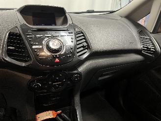 Ford EcoSport EcoSport (JK8) SUV 1.0 EcoBoost 12V 125 (M1JJ) [92kW]  (10-2013/...) picture 18