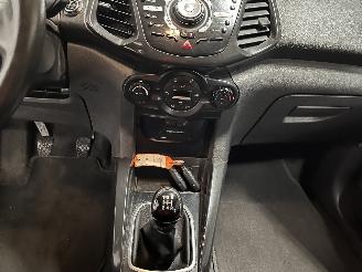 Ford EcoSport EcoSport (JK8) SUV 1.0 EcoBoost 12V 125 (M1JJ) [92kW]  (10-2013/...) picture 19