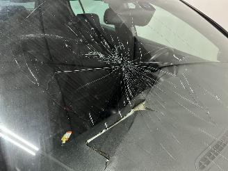 Volkswagen Golf Golf VI (5K1) Hatchback 2.0 TSI R 16V 4Motion (CDLF) [199kW]  (11-2009=
/03-2013) picture 30