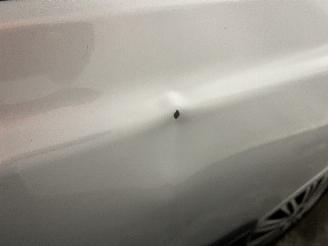 Hyundai Accent Accent Hatchback 1.3 12V (G4EA) [62kW]  (08-2002/11-2005) picture 18