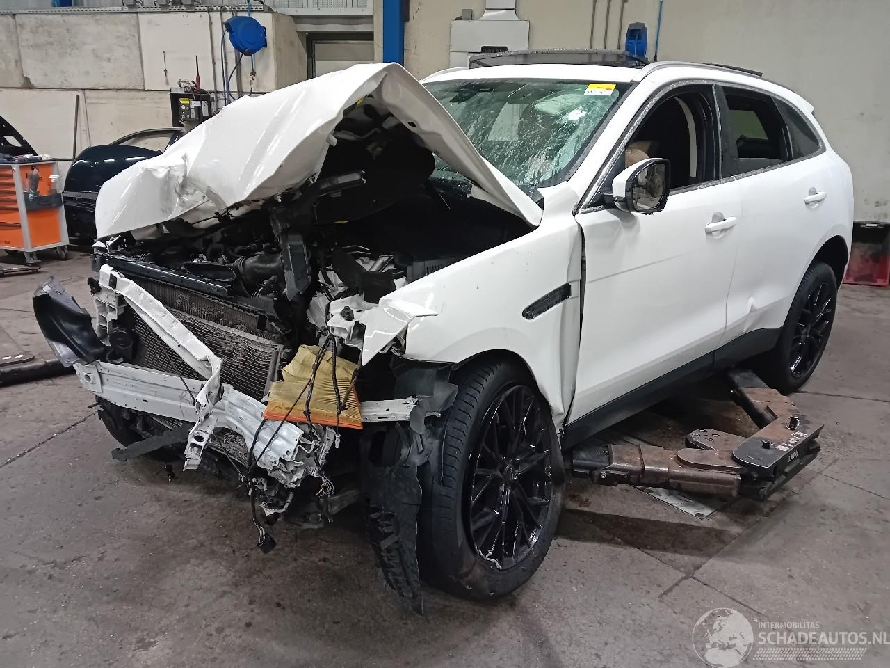 Jaguar F-Pace F-Pace SUV 2.0 D 180 16V AWD (204DTD(AJ20D4)) [132kW]  (09-2015/12-202=
5)