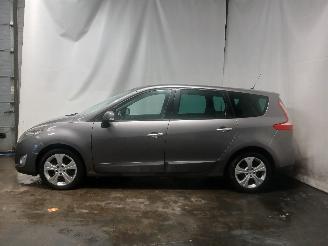 Renault Scenic Grand Scénic III (JZ) MPV 2.0 16V CVT (M4R-F713) [103kW]  (02-2009/1=
2-2016) picture 3