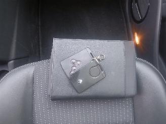 Renault Scenic Grand Scénic III (JZ) MPV 1.4 16V TCe 130 (H4J-700(H4J-A7)) [96kW]  =
(02-2009/12-2016) picture 19