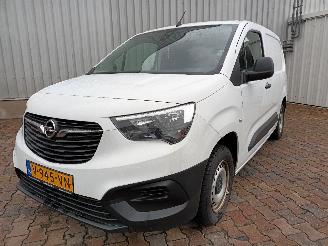  Opel Combo Combo Cargo Van 1.6 CDTI 75 (B16DTL(DV6FE)) [55kW]  (06-2018/04-2021) 2019/1