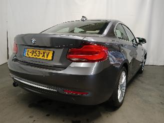 BMW 2-serie 2 serie (F22) Coupé 218i 1.5 TwinPower Turbo 12V (B38-B15A) [100kW] =
 (03-2015/06-2021) picture 5