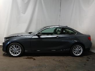 BMW 2-serie 2 serie (F22) Coupé 218i 1.5 TwinPower Turbo 12V (B38-B15A) [100kW] =
 (03-2015/06-2021) picture 4