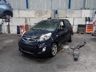 Sloopauto Kia Picanto Picanto (TA) Hatchback 1.0 12V (G3LA) [51kW]  (05-2011/06-2017) 2014/9