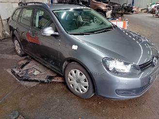 Volkswagen Golf Golf VI Variant (AJ5/1KA) Combi 1.2 TSI BlueMotion (CBZB) [77kW]  (07-=
2009/07-2013) picture 2