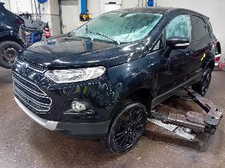  Ford EcoSport EcoSport (JK8) SUV 1.0 EcoBoost 12V 125 (M1JJ) [92kW]  (10-2013/...) 2017/5