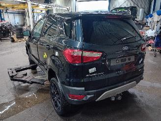 Ford EcoSport EcoSport (JK8) SUV 1.0 EcoBoost 12V 125 (M1JJ) [92kW]  (10-2013/...) picture 4