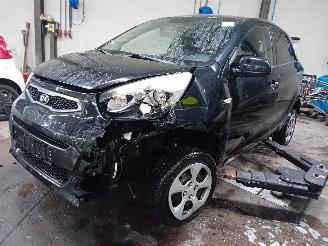 Purkuautot passenger cars Kia Picanto Picanto (TA) Hatchback 1.0 12V (G3LA) [51kW]  (05-2011/06-2017) 2015/2