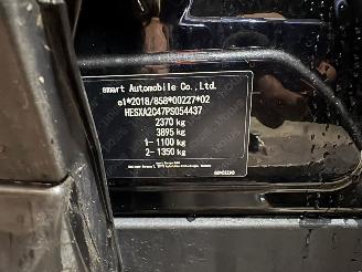 Smart  #1 SUV Brabus, Pulse (TZ180XSB01) [315kW]  (06-2022/...) picture 6