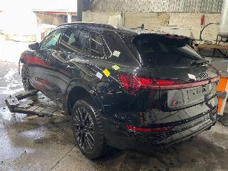 Audi Q8 Q8 E-tron (GEG) SUV 55 Quattro 115 kWh (EDEA) [300kW]  (11-2022/...) picture 4