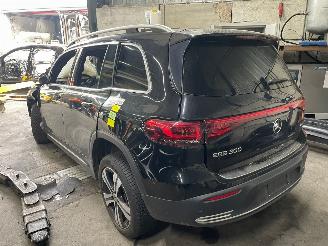 Mercedes  EQB (X243) SUV 300 4-Matic (EM780.200) [168kW]  (12-2021/...) picture 4