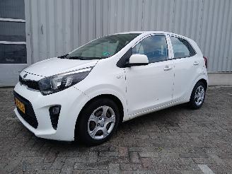 Kia Picanto Picanto (JA) Hatchback 1.0 12V (G3LA) [49kW]  (03-2017/...) picture 3