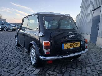 Rover Mini Mini Sedan 1300 Cooper (12A2AF53) [45kW]  (01-1991/12-1991) picture 5