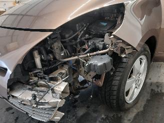 Renault Scenic Grand Scénic III (JZ) MPV 1.4 16V TCe 130 (H4J-700(H4J-A7)) [96kW]  =
(02-2009/12-2016) picture 23