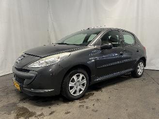 Peugeot 206+ 206+ (2L/M) Hatchback 1.1 XR,XS (TU1JP(HFV)) [44kW]  (01-2009/06-2013)= picture 3