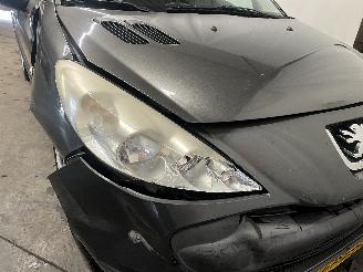 Peugeot 206+ 206+ (2L/M) Hatchback 1.1 XR,XS (TU1JP(HFV)) [44kW]  (01-2009/06-2013)= picture 8