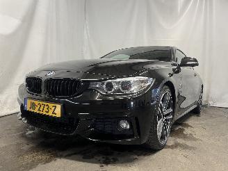  BMW 4-serie 4 serie (F32) Coupé 420i 2.0 Turbo 16V (N20-B20B) [135kW]  (11-2013/=
02-2017) 2016/2