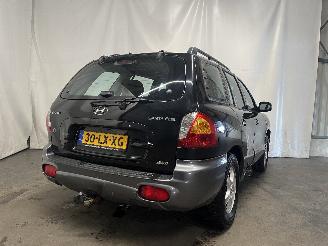 Hyundai Santa Fe Santa Fe I SUV 2.4 16V 4x4 (G4JS) [107kW]  (02-2001/02-2006) picture 5