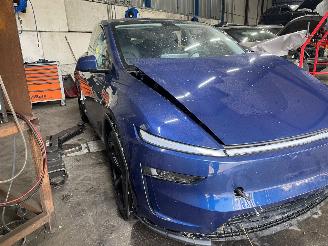 Tesla  Model Y SUV RWD 58 kWh, Long Range RWD 75 kWh (4D3) [220kW]  (01-2025/=
=2E..) picture 2