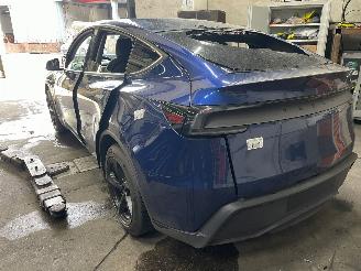 Tesla  Model Y SUV RWD 58 kWh, Long Range RWD 75 kWh (4D3) [220kW]  (01-2025/=
=2E..) picture 4