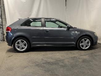 Audi A3 A3 (8P1) Hatchback 3-drs 1.9 TDI (BLS) [77kW]  (05-2003/05-2010) picture 7