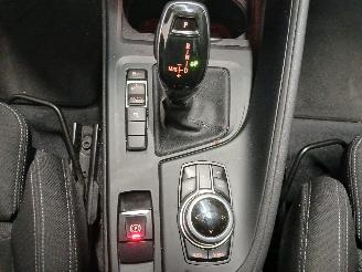 BMW X1 X1 (F48) SUV sDrive 18i 1.5 12V TwinPower Turbo (B38-A15A) [103kW]  (0=
7-2017/06-2022) picture 25