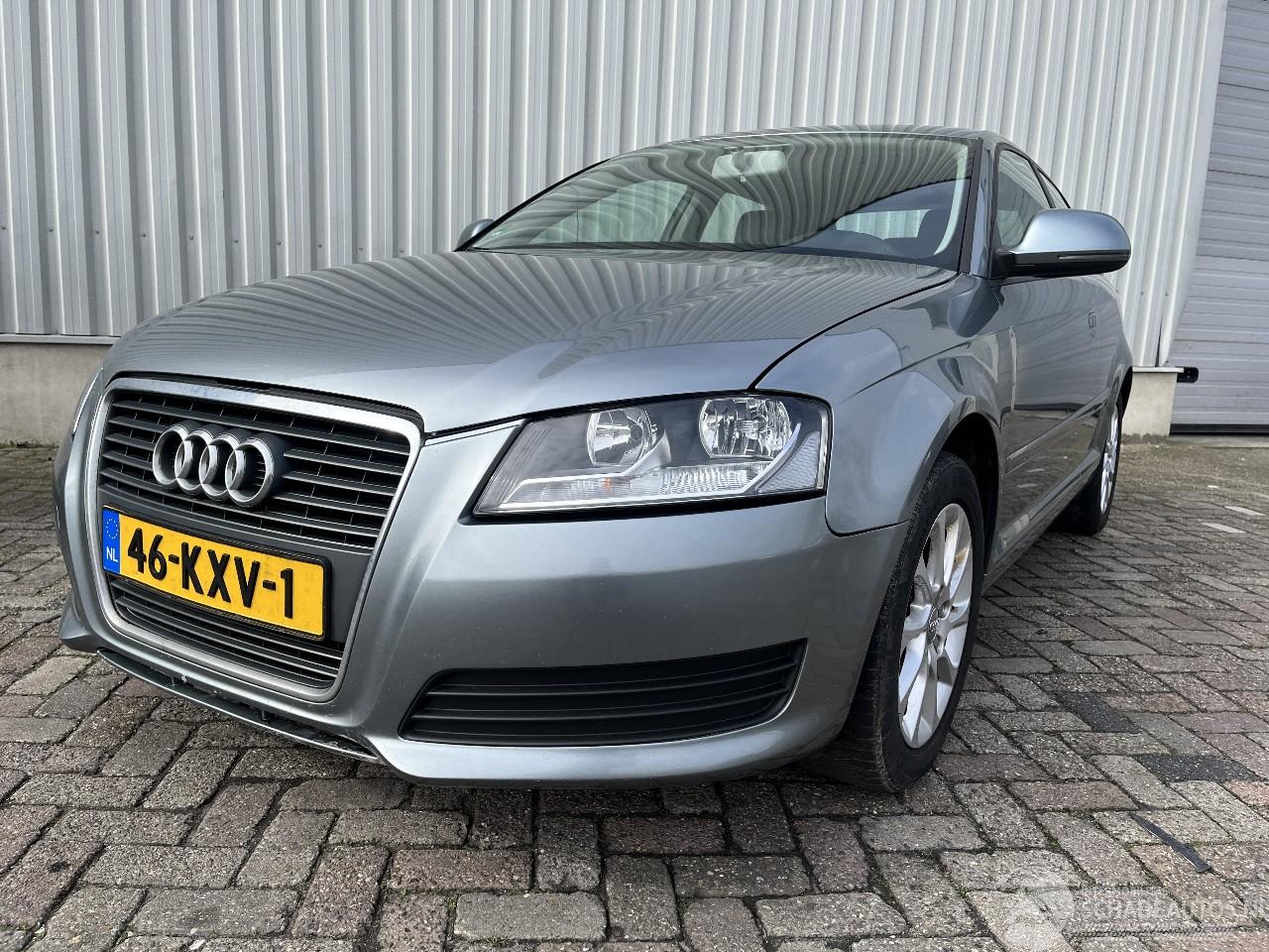 Audi A3 A3 (8P1) Hatchback 3-drs 1.6 TDI 16V (CAYC) [77kW]  (05-2009/08-2012)