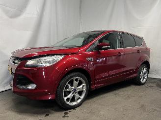 Ford Kuga Kuga II (DM2) SUV 1.5 EcoBoost 16V 150 (M8MA) [110kW]  (09-2014/06-201=
9) picture 3