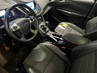 Ford Kuga Kuga II (DM2) SUV 1.5 EcoBoost 16V 150 (M8MA) [110kW]  (09-2014/06-201=
9) picture 22