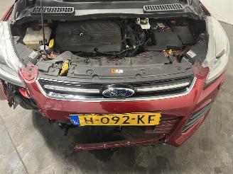 Ford Kuga Kuga II (DM2) SUV 1.5 EcoBoost 16V 150 (M8MA) [110kW]  (09-2014/06-201=
9) picture 15