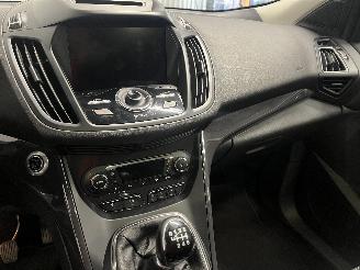 Ford Kuga Kuga II (DM2) SUV 1.5 EcoBoost 16V 150 (M8MA) [110kW]  (09-2014/06-201=
9) picture 26