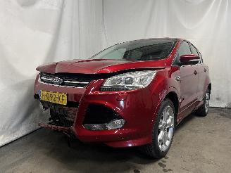 uszkodzony samochody osobowe Ford Kuga Kuga II (DM2) SUV 1.5 EcoBoost 16V 150 (M8MA) [110kW]  (09-2014/06-201=
9) 2016/8