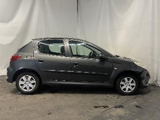 Peugeot 206+ 206+ (2L/M) Hatchback 1.1 XR,XS (TU1JP(HFV)) [44kW]  (01-2009/06-2013)= picture 7
