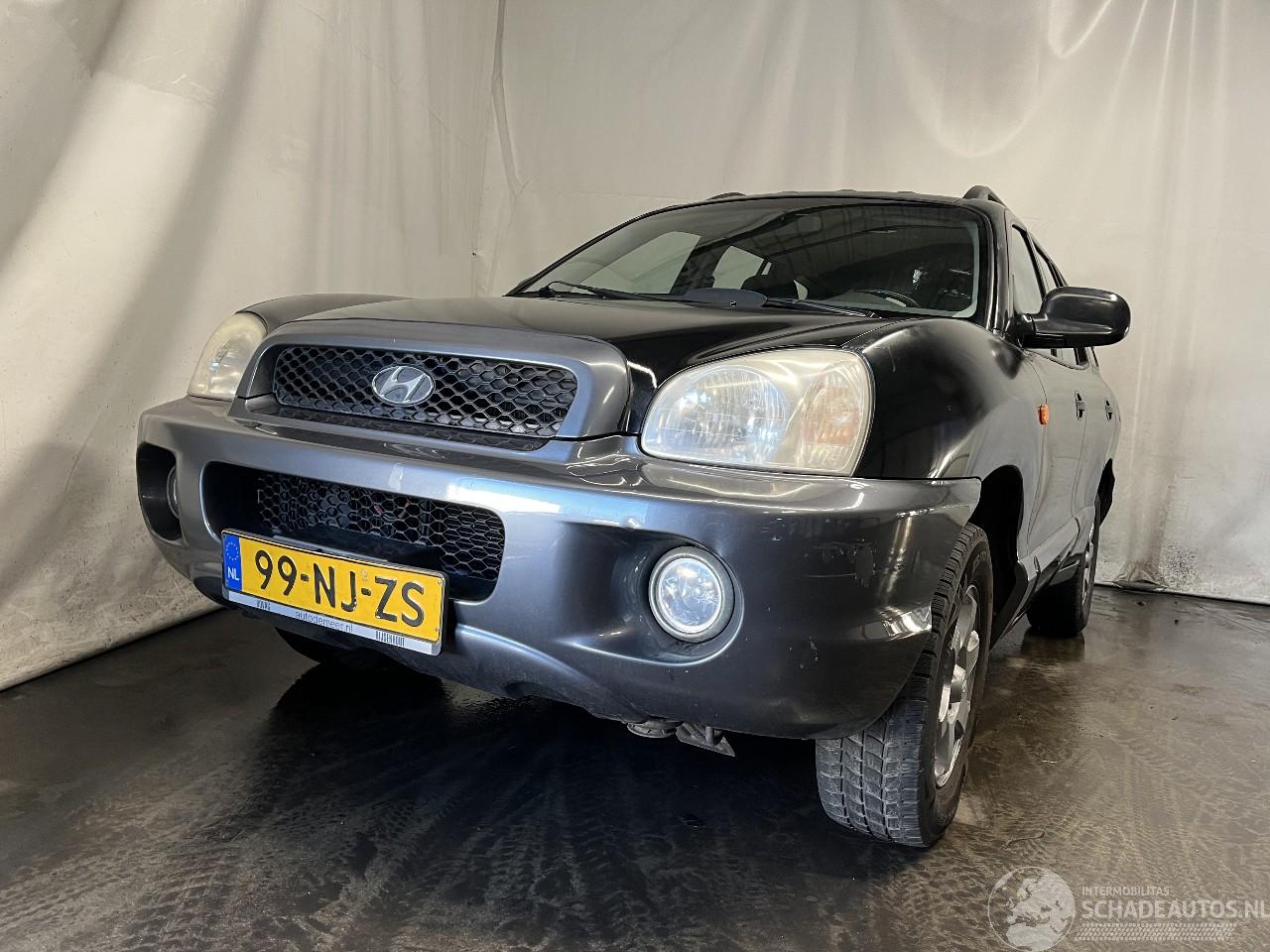 Hyundai Santa Fe Santa Fe I SUV 2.0 16V 4x2 (G4JP) [99kW]  (08-2001/02-2006)